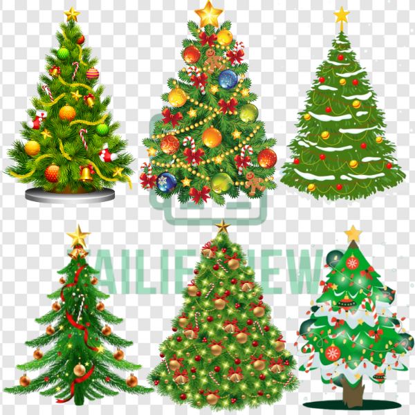 Download Cây Thông Vector Miễn Phí - File PNG, JPG Bộ sưu tập cây thông vector