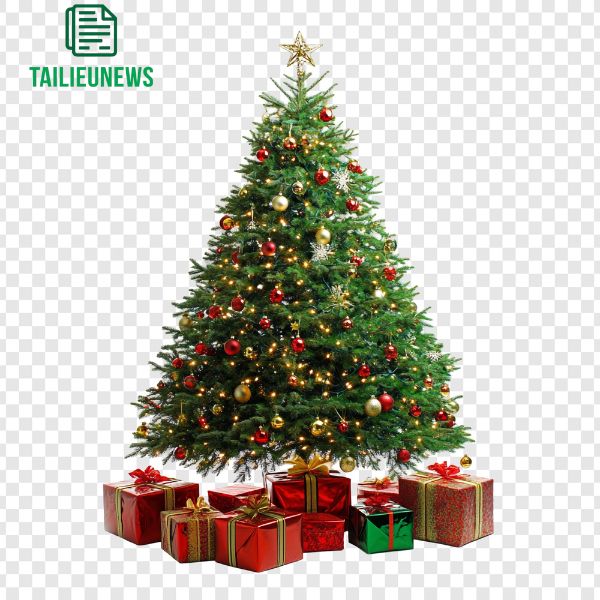 Download Cây Thông Vector Miễn Phí - File PNG, JPG Cây thông vector trang trí quà tặng
