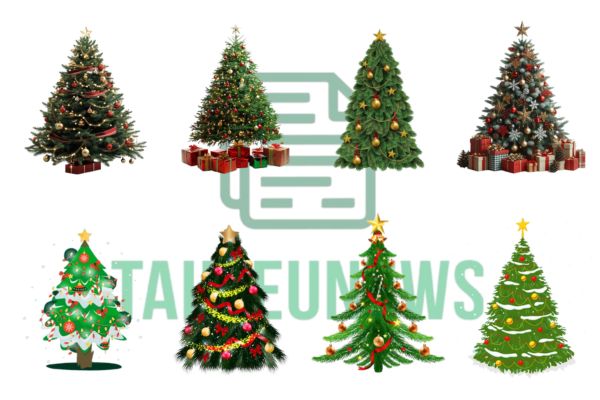 Download Cây Thông Vector Miễn Phí - File PNG, JPG Mẫu cây thông vector