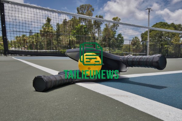 Tải Ngay Pickleball Vector Miễn Phí – File AI, PNG Thiết Kế Đẹp Vector pịcleball