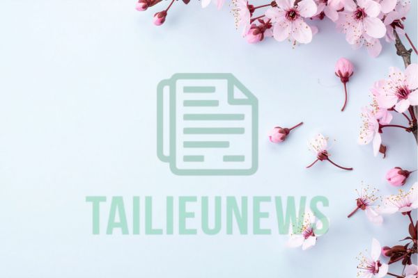 Background hoa anh đào vector