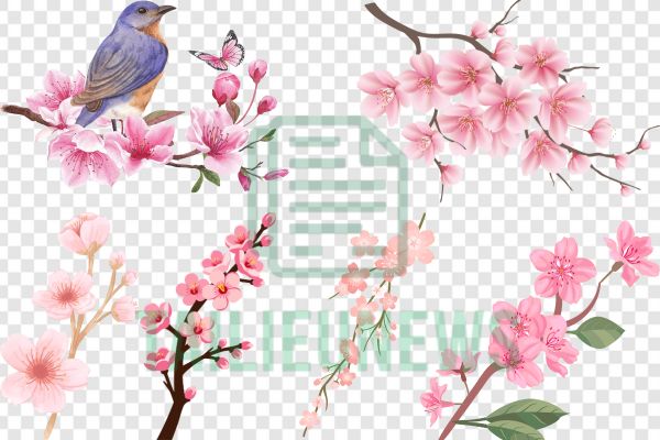Cành hoa đào trang trí banner