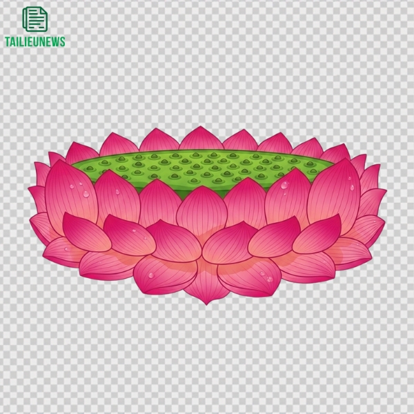 đài sen phật vector