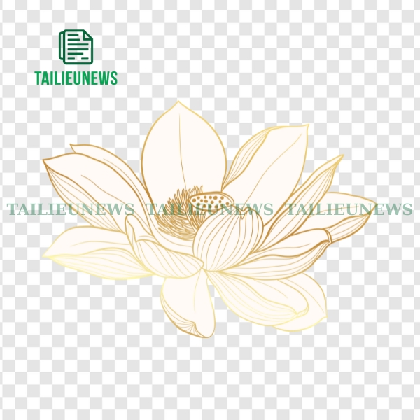 Download vector hoa sen