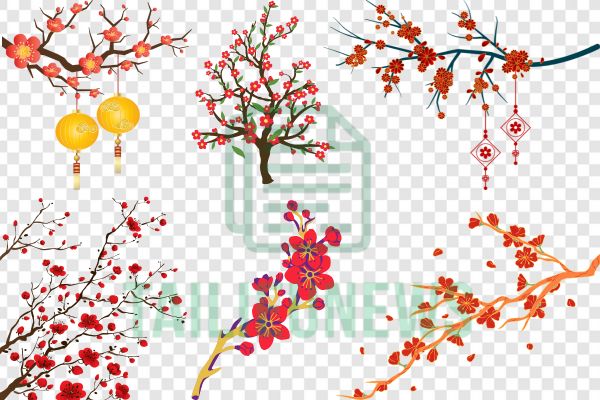 Hoa đào đỏ vector