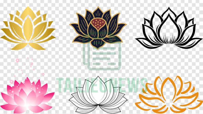 Hoa sen vector PNG tách nền