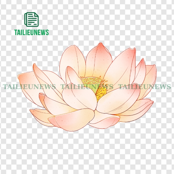 Hoa sen vector PNG