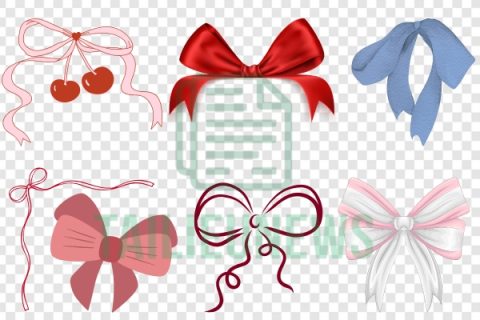 Tải Miễn Phí Hình Nơ Vector Đẹp Chất Lượng Cao Nơ vector đẹp