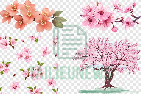 Vector hoa đào