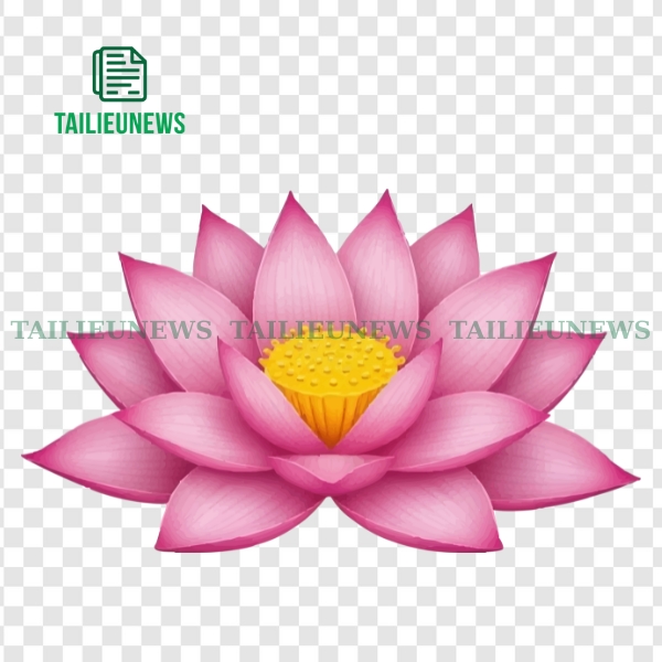 Vector hoa sen truyền thống