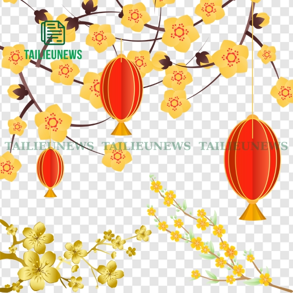 Bộ hoa mai vector miễn phí, dễ tải và sử dụng cho thiết kế banner, thiệp và in ấn Tết.