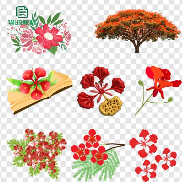 Vector hoa phượng
