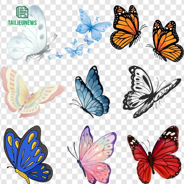 Bươm bướm vector