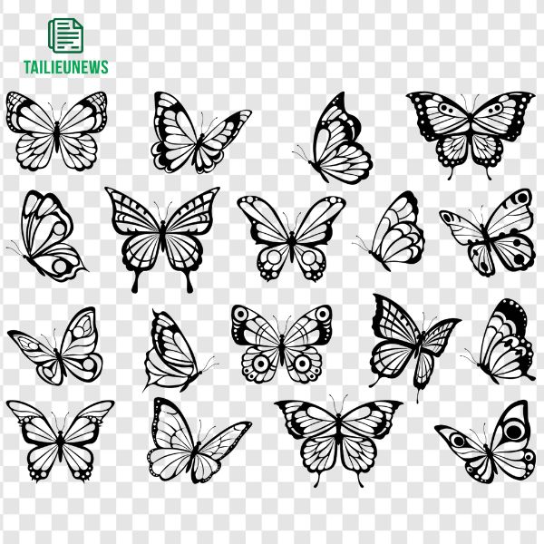 Bướm vector PNG