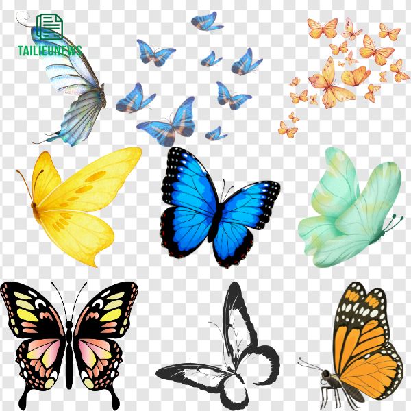Vector bướm đẹp