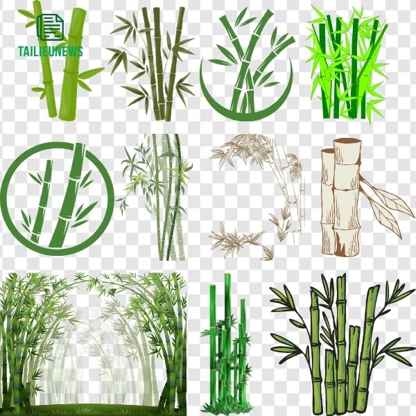 Tải 17+ Bộ File Cây Tre Vector Đẹp ( AI/EPS/PNG ) Miễn Phí Chất Lượng Cao Cây tre vector PNG