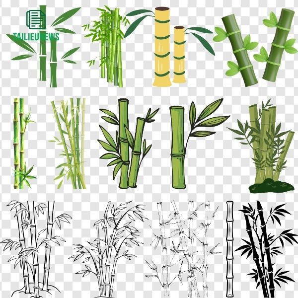 Tải 17+ Bộ File Cây Tre Vector Đẹp ( AI/EPS/PNG ) Miễn Phí Chất Lượng Cao Cây trúc vector