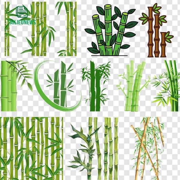 Tải 17+ Bộ File Cây Tre Vector Đẹp ( AI/EPS/PNG ) Miễn Phí Chất Lượng Cao Vector cây tre đẹp