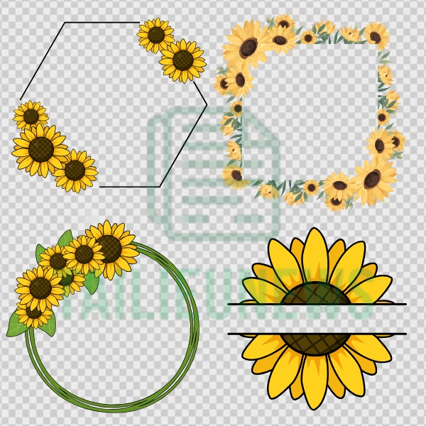 background hoa hướng dương vector