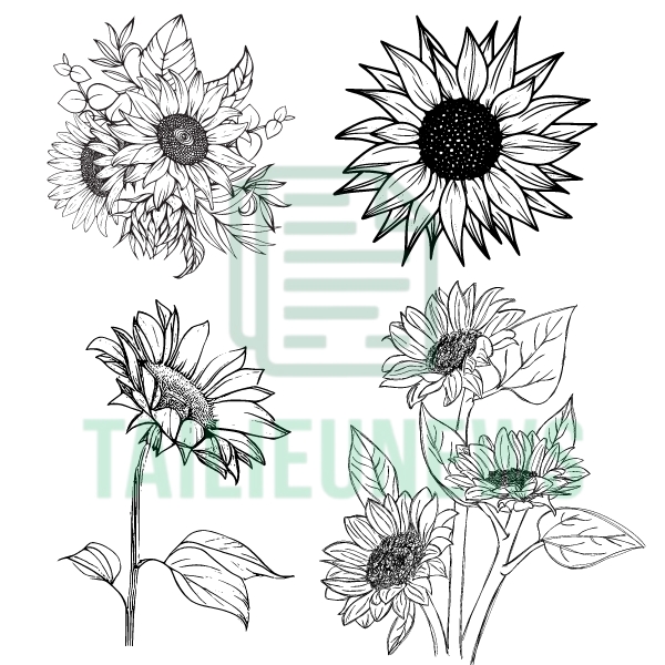 hoa hướng dương vector đen trắng