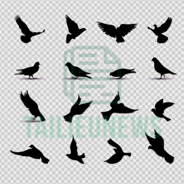 chim bồ câu vector