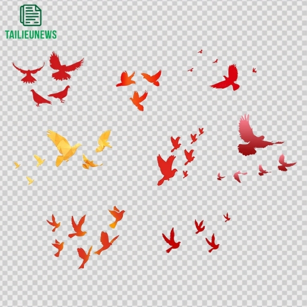 chim bồ câu vector