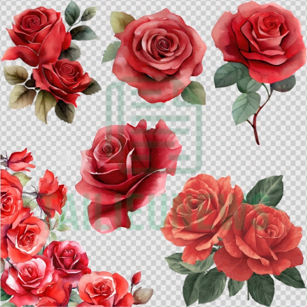 Tải Hoa Hồng Vector Đẹp Miễn Phí File AI, SVG, EPS, PNG Chất Lượng Cao hoa hồng đỏ vector