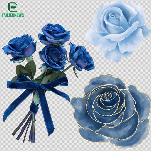 Tải Hoa Hồng Vector Đẹp Miễn Phí File AI, SVG, EPS, PNG Chất Lượng Cao hoa hồng xanh vector
