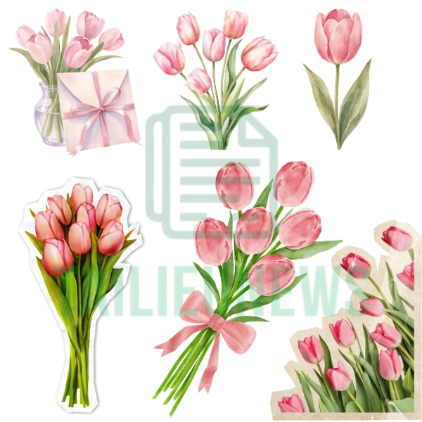 hoa tulip vector màu hồng