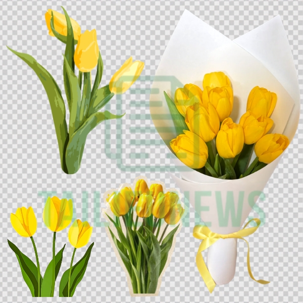 hoa tulip vector màu vàng