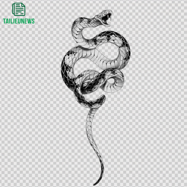 Tải 25+ Mẫu Con Rắn Vector Đẹp Chất Lượng Cao - File AI, SVG, EPS, PNG Snake vector art