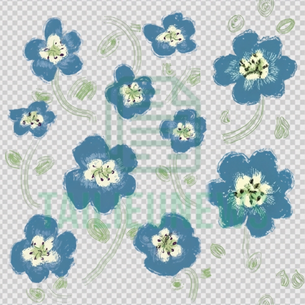 Download Hình Ảnh Bông Hoa 5 Cánh Vector File PNG, CDR, AI, SVG, EPS bông hoa 5 cánh vector tách nền