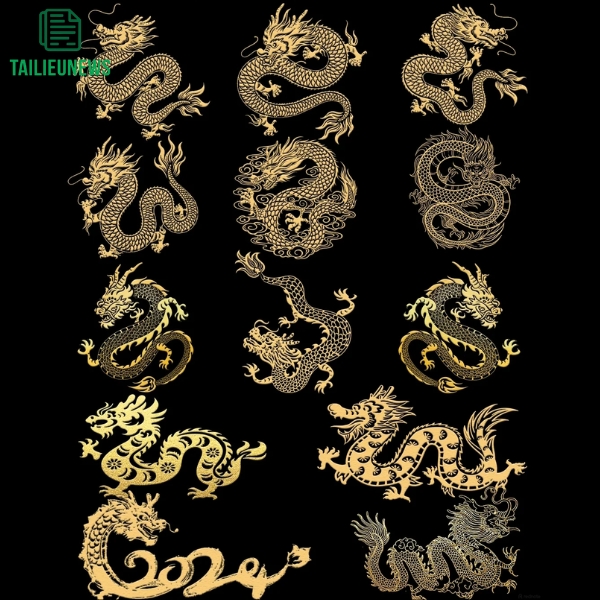 rồng vector
