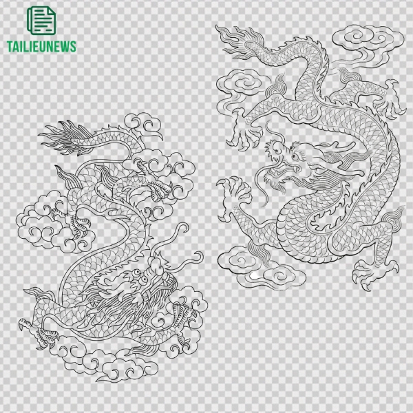 rồng vector