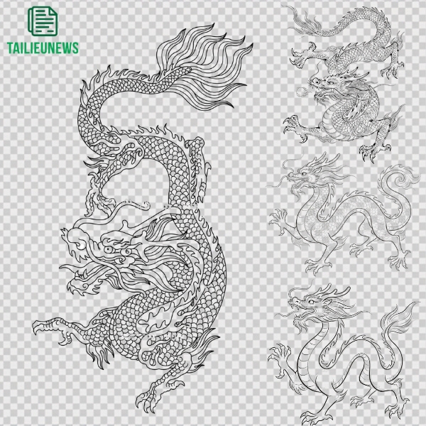 rồng vector